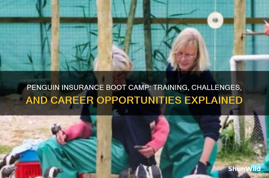 what is involved in penguin insurance boot camp