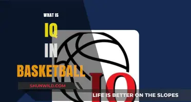 Basketball IQ: Understanding the Game's Intelligence