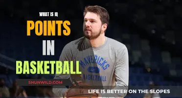 Unraveling IQ Points: The Basketball Stat You Need to Know