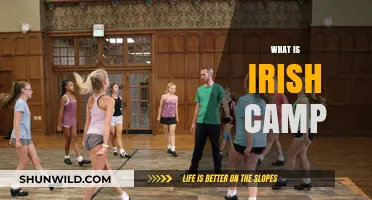 Exploring Irish Camp: A Journey Through Tradition and Community