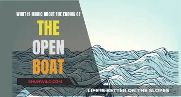 The Open Boat's Ironic Ending: Nature's Indifference