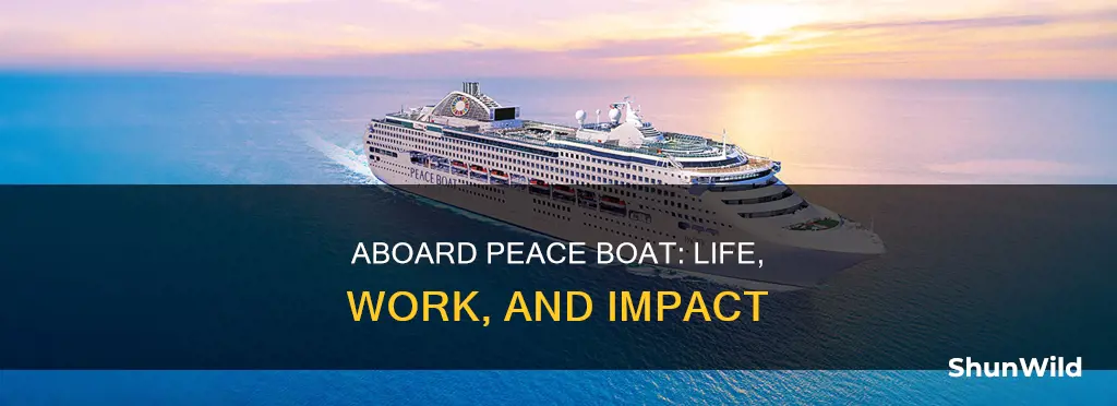 what is it like to work for peace boat