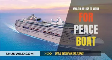 Volunteering with Peace Boat: An Insider's Perspective