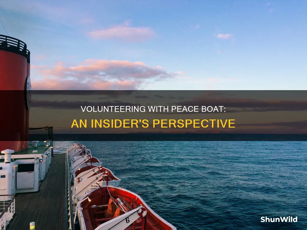 what is it like to work for peace boat