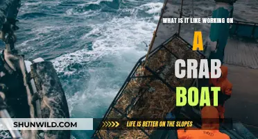 Life on the Waves: A Day in the Life of a Crab Boat Deckhand