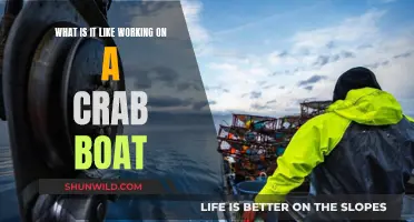 Life on a Crab Boat: An Insider's Tale