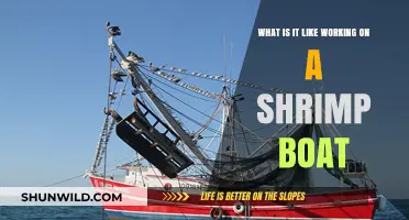 Life at Sea: A Day in the Life of a Shrimp Fisher