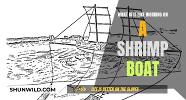 Life on a Shrimp Boat: An Insider's View