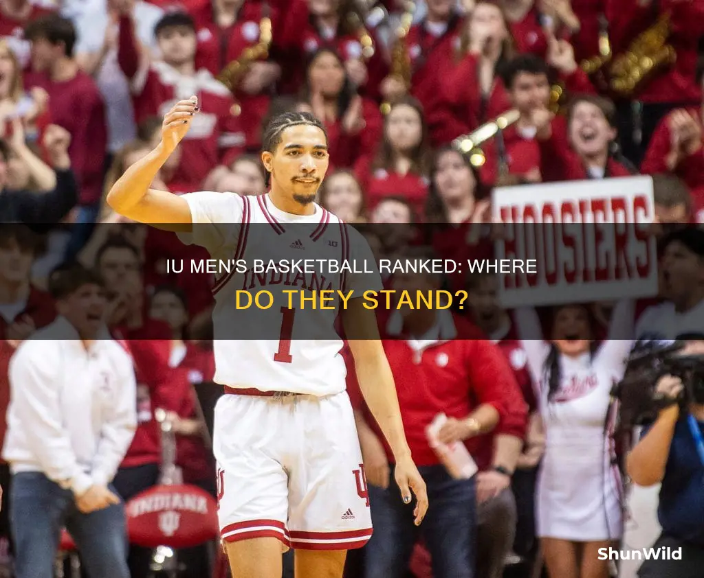 what is iu men