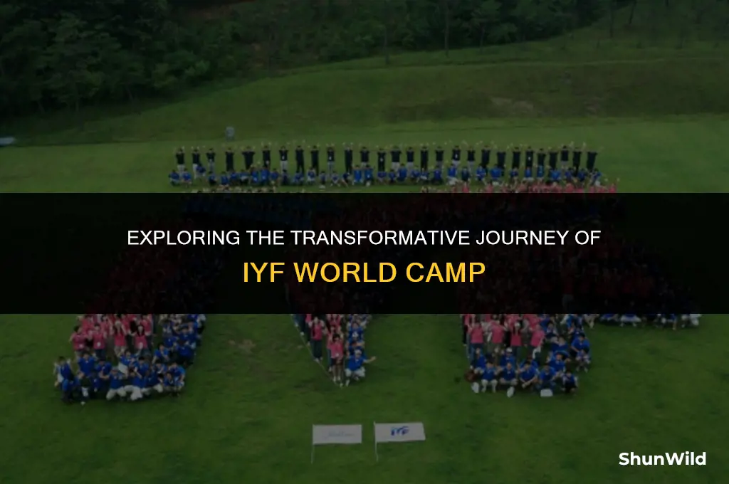 what is iyf world camp