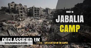 Understanding Jabalia Camp: A Comprehensive Guide to Its History and Significance