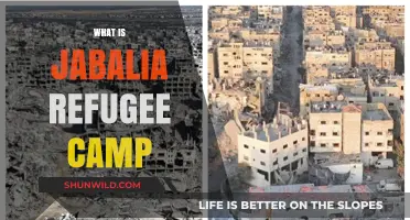 Understanding Jabalia: A Glimpse into the Largest Refugee Camp