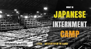 Unveiling the History: Japanese Internment Camps in America