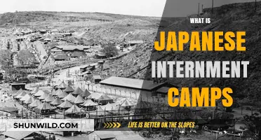 Understanding Japanese Internment Camps: A Dark Chapter in American History