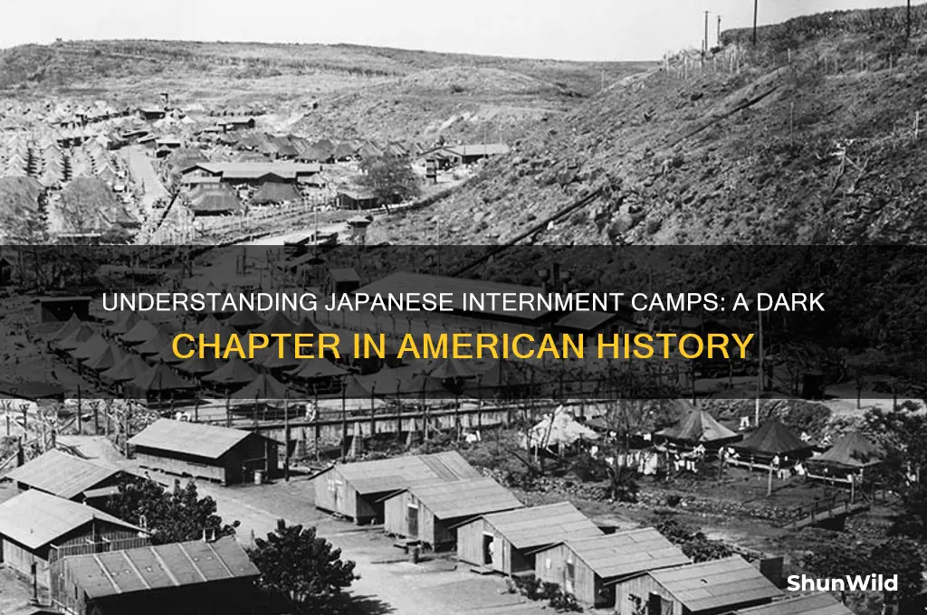 what is japanese internment camps