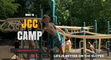 Exploring the Thrills and Skills of JCC Summer Camp
