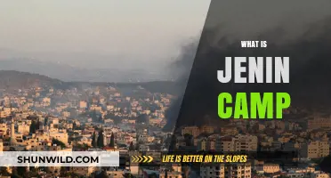 Unveiling Jenin Refugee Camp: A Glimpse into Resilience and Hope