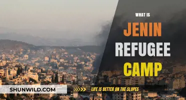 Life in Jenin Refugee Camp: A Glimpse into Resilience and Hope