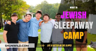Exploring the Magic of Jewish Sleepaway Camps: A Journey of Discovery