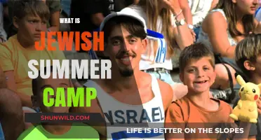 Exploring the Magic of Jewish Summer Camps: A Journey of Discovery