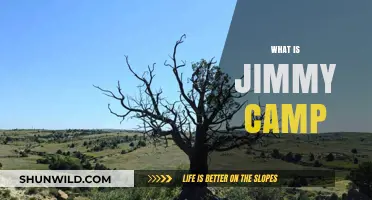 Exploring Jimmy Camp: A Comprehensive Guide to the Concept