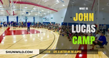 Exploring the Exciting World of John Lucas Basketball Camps