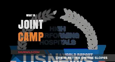 Exploring the Concept of Joint Camps: A Comprehensive Guide