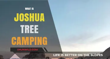 Exploring the Mojave: A Guide to Joshua Tree Camping