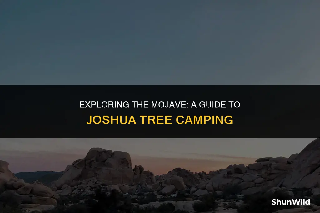 what is joshua tree camping