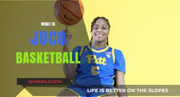 The Fast-Paced World of Juco Basketball