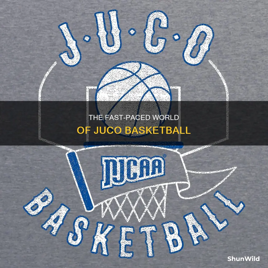 what is juco basketball