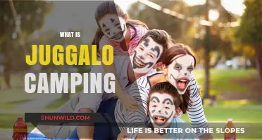 Exploring the Unique World of Juggalo Camping: A Beginner's Guide