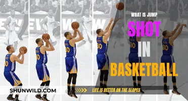 Mastering the Art of the Jump Shot: A Beginner's Guide