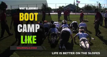 Juvenile Boot Camp: A Harsh Reality or Effective Rehabilitation?