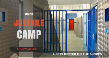 Exploring Juvenile Camps: Purpose, Programs, and Controversies