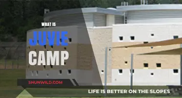 Exploring Juvie Camp: A Comprehensive Guide for Parents and Guardians