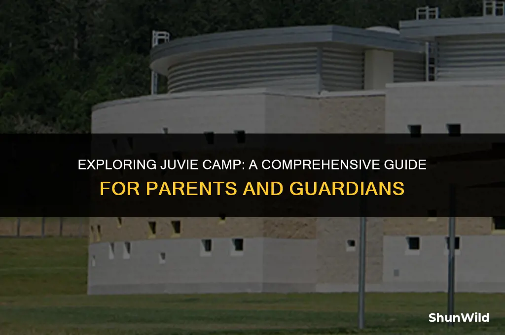 what is juvie camp