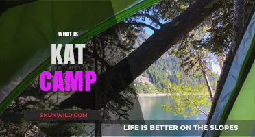 Exploring the Enchantment of Kat Camp: A Journey into..
