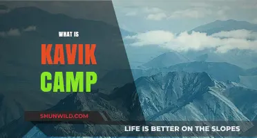 Unveiling the Mystique of Kavik Camp: A Journey into the Arctic Wilderness