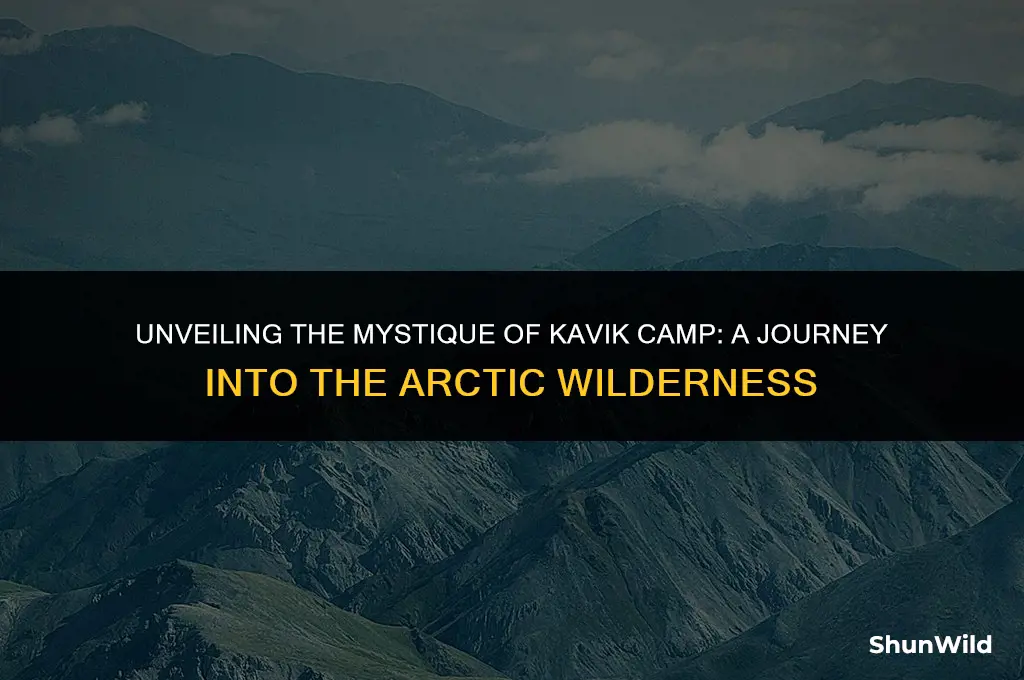 what is kavik camp