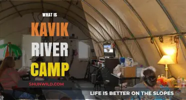 Exploring the Serene Kavik River Camp: A Nature Lover's Retreat