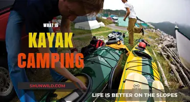 Exploring the Great Outdoors: A Beginner's Guide to Kayak Camping