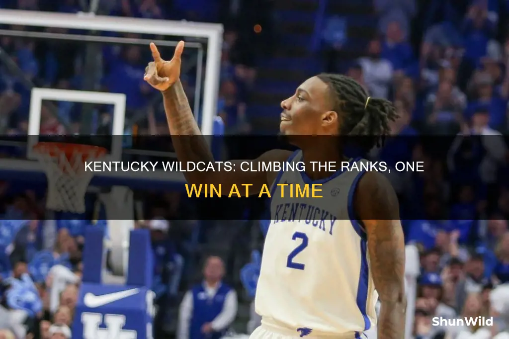 what is kentucky wildcats basketball ranked