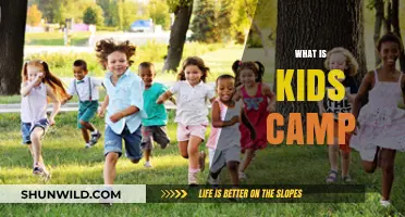 Unveiling the Magic: What Kids Camps Are All About