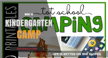 Exploring Kindergarten Camp: A Fun and Educational Summer Adventure