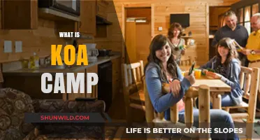 Exploring the Exciting World of Koa Camp: A Comprehensive Guide