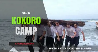 Exploring Kokoro Camp: A Journey into Japan's Traditional Martial Arts Retreats