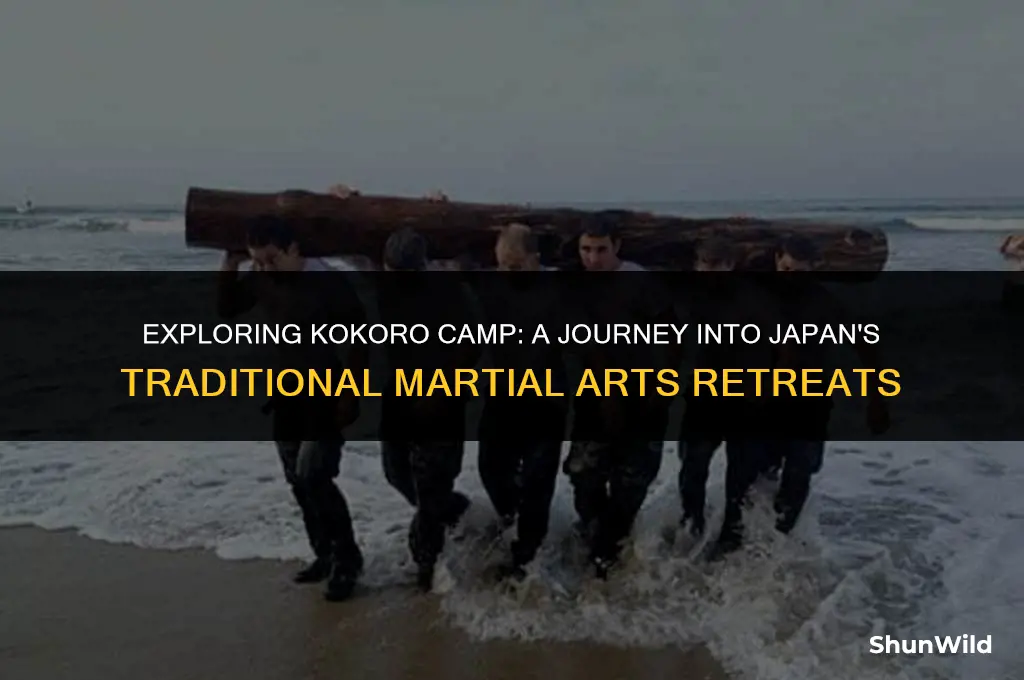 what is kokoro camp