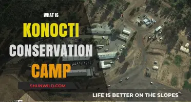 Discovering Konocti Conservation Camp: A Haven for Nature Enthusiasts