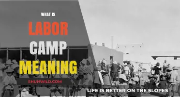 Unveiling the Truth: Understanding the Meaning of Labor Camps
